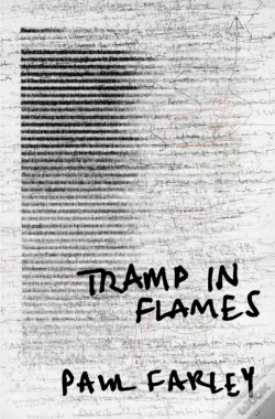 Capa do artigo Tramp In Flames