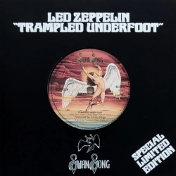 Capa do artigo Trampled Under Foot - Vinil