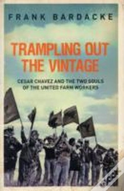 Capa do artigo Trampling Out The Vintage