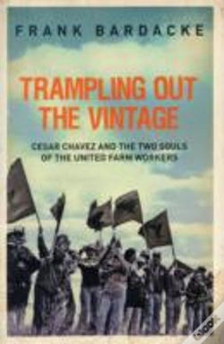 Capa do artigo Trampling Out The Vintage