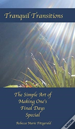 Capa do artigo Tranquil Transitions