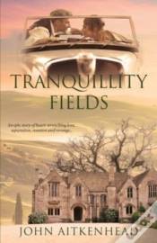 Capa do artigo Tranquillity Fields