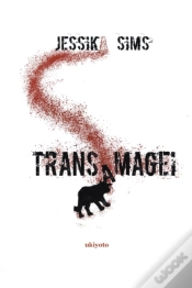 Capa do artigo Transamagei