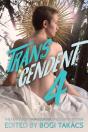 Transcendent 4 - Preview