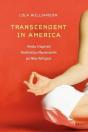 Transcendent In America - Preview