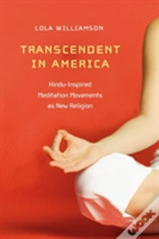 Capa do artigo Transcendent In America