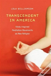 Capa do artigo Transcendent In America
