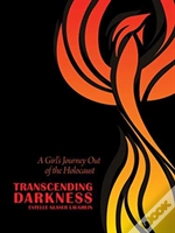 Capa do artigo Transcending Darkness