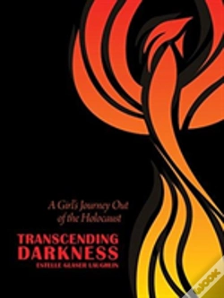 Capa do artigo Transcending Darkness