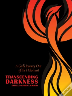 Capa do artigo Transcending Darkness