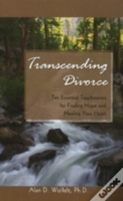 Capa do artigo Transcending Divorce