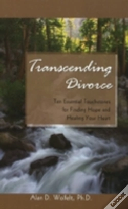 Capa do artigo Transcending Divorce
