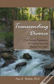 Capa do artigo Transcending Divorce