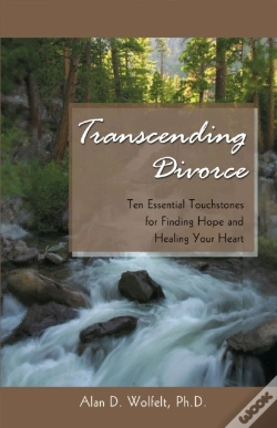 Capa do artigo Transcending Divorce