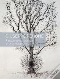 Transcription Musicale De La Structure Des Arbres