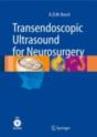 Transendoscopic Ultrasound For Neurosurgery - Preview