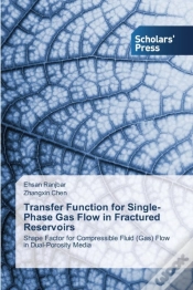Capa do artigo Transfer Function For Single-Phase Gas Flow In Fractured Reservoirs