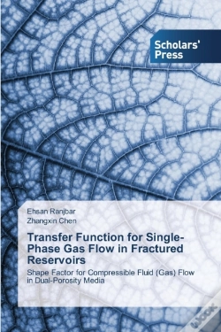 Capa do artigo Transfer Function For Single-Phase Gas Flow In Fractured Reservoirs