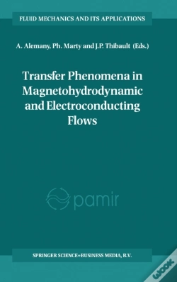 Capa do artigo Transfer Phenomena In Magnetohydrodynamic And Electroconducting Flows