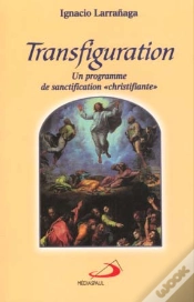 Capa do artigo Transfiguration