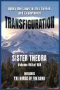 Transfiguration Volume Viii - Preview