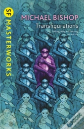Transfigurations