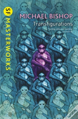 Capa do artigo Transfigurations