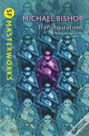 Capa do artigo Transfigurations