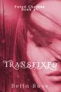 Transfixed - Preview