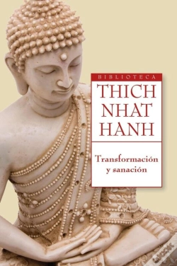 Capa do artigo Transformación Y Sanación