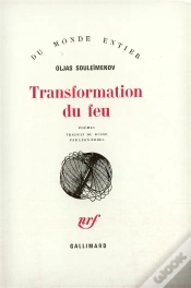 Capa do artigo Transformation Du Feu