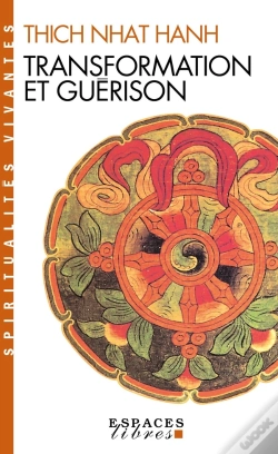 Capa do artigo Transformation Et Guérison