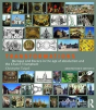 Transformations - Preview