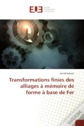Transformations Finies Des Alliages A Memoire De Forme A Base De Fer