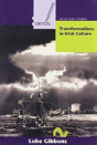 Transformations In Irish Culture - Preview