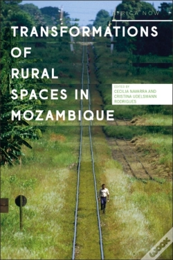 Capa do artigo Transformations Of Rural Spaces In Mozambique