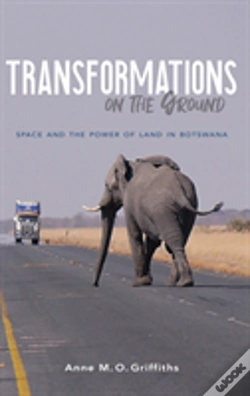 Capa do artigo Transformations On The Ground