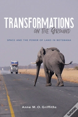 Capa do artigo Transformations On The Ground