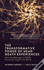 Capa do artigo Transformative Powers Of Ndes