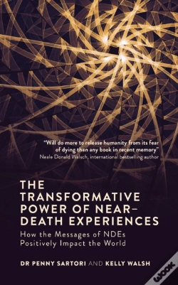 Capa do artigo Transformative Powers Of Ndes