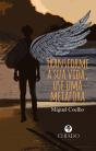 Transforme a sua vida, use uma metáfora - Preview