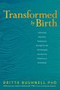 Transformed By Birth - Preview
