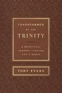 Transformed By The Trinity (Milano Softone) - Preview