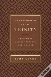 Capa do artigo Transformed By The Trinity (Milano Softone)