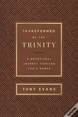 Capa do artigo Transformed By The Trinity (Milano Softone)