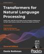 Transformers For Natural Language Processing - Preview