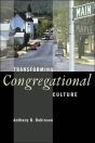 Transforming Congregational Culture - Preview