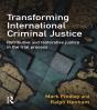 Transforming International Criminal Justice - Preview