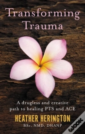 Capa do artigo Transforming Trauma