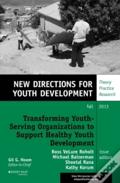 Capa do artigo Transforming Youth Serving Organizations To Support Healthy Youth Development